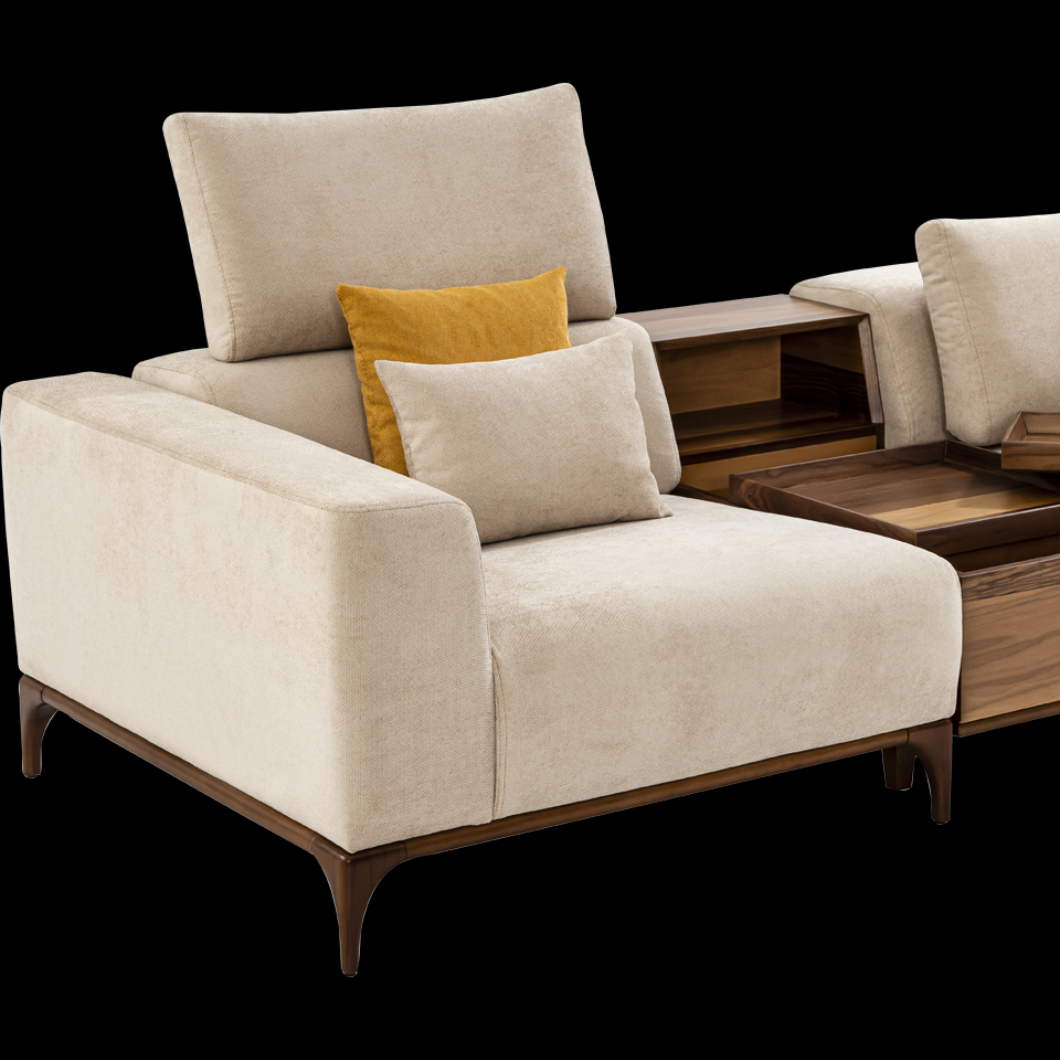 Lounge Sofa Image